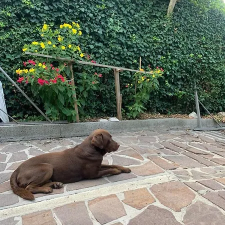 Appartamento Rustico Nonna Maria Valle del Marecchia Casa vacanze